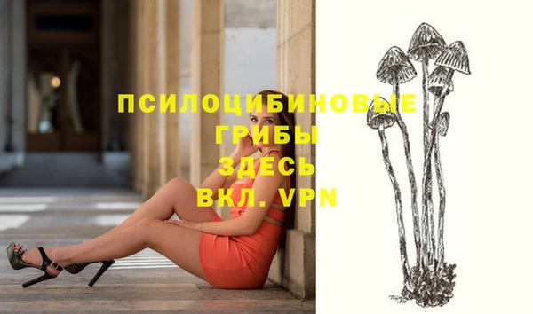 МДПВ Абинск